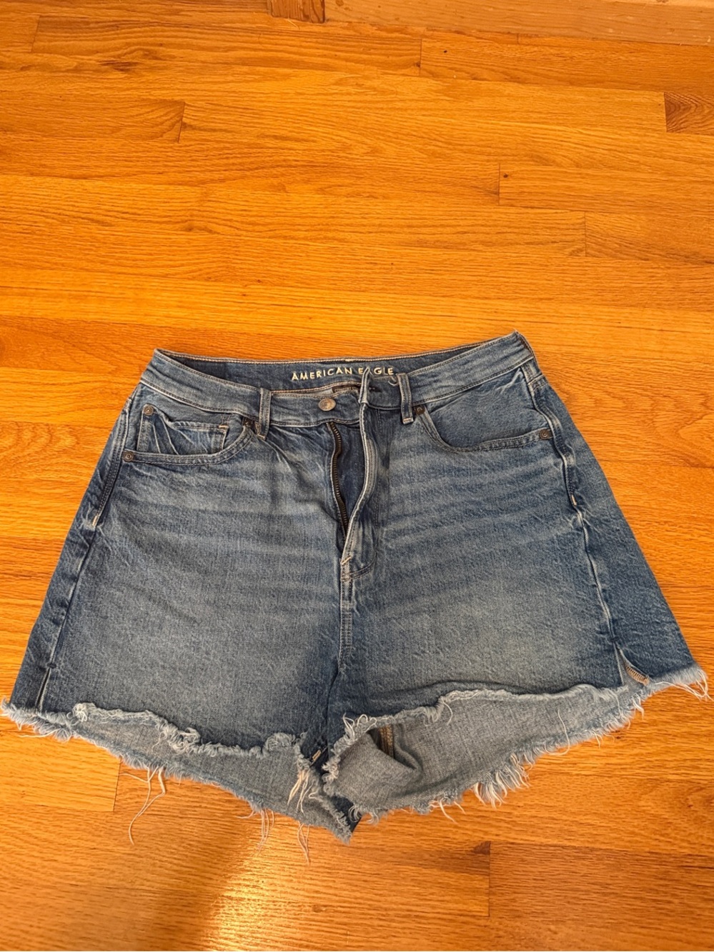 American Eagle Outfitters Light Blue Frayed Denim Cutoff Shorts
